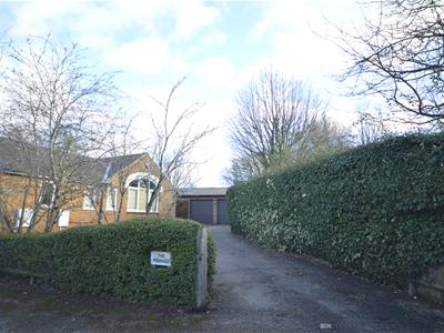 Picture 33